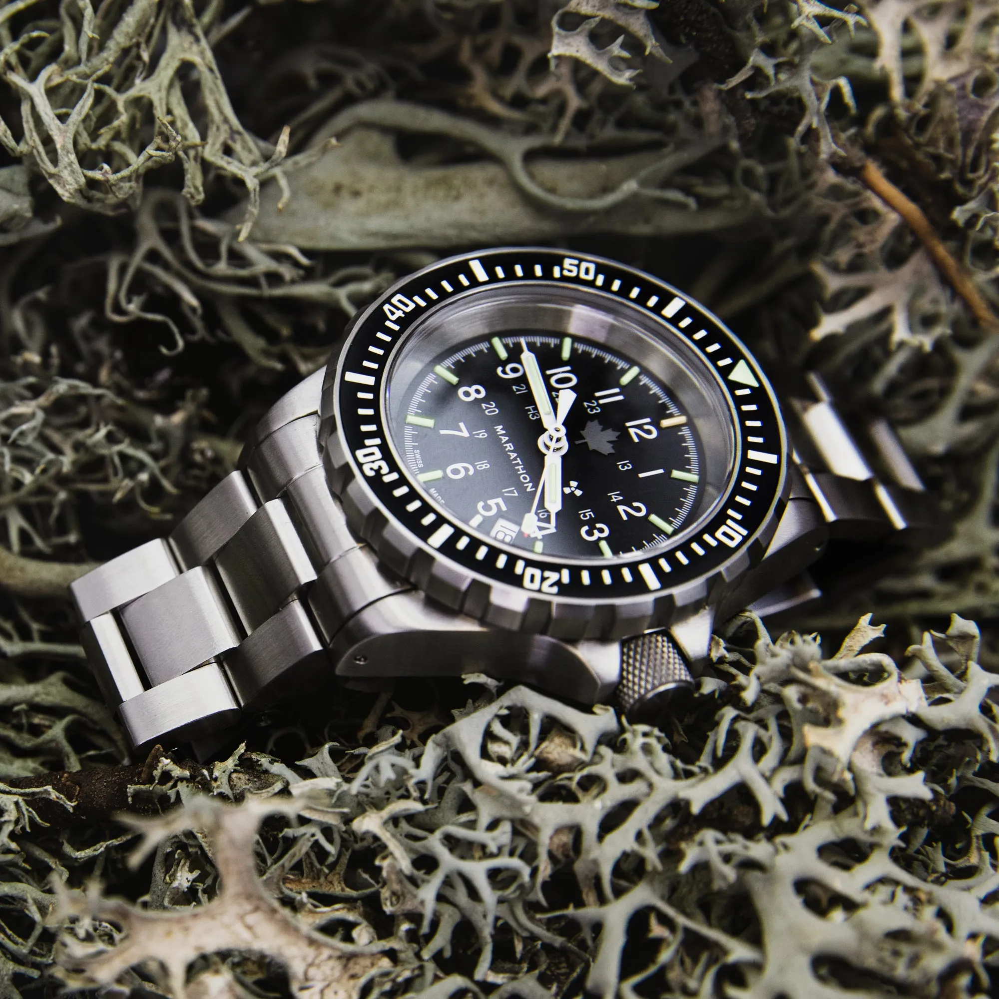 41mm Grey Maple Large Diver's Automatic (GSAR) with Stainless Steel Bracelet