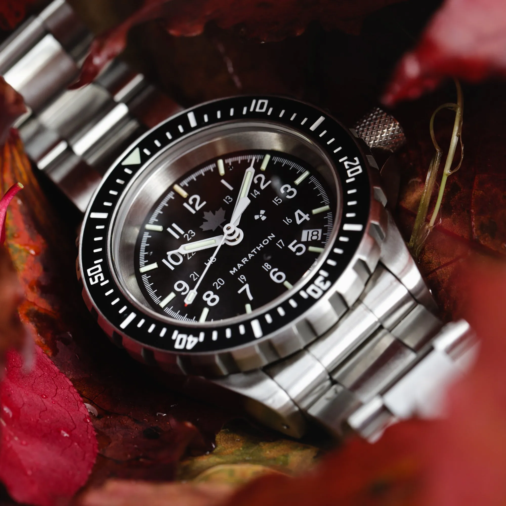 41mm Grey Maple Large Diver's Automatic (GSAR) with Stainless Steel Bracelet