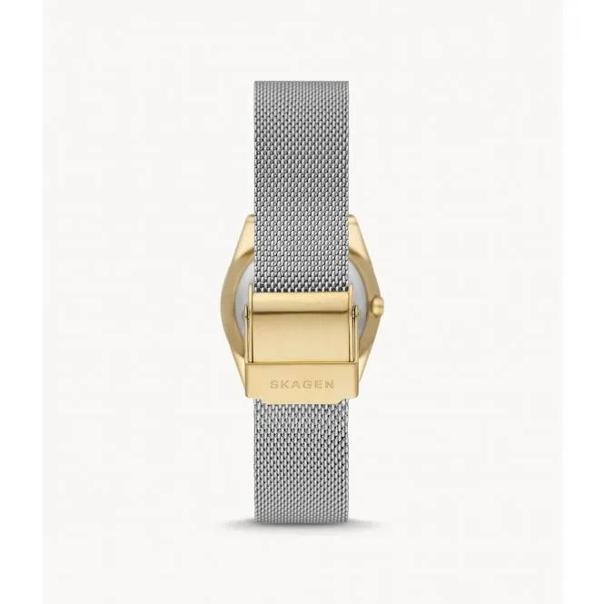 Skagen Ladies Two-Tone Mesh Watch