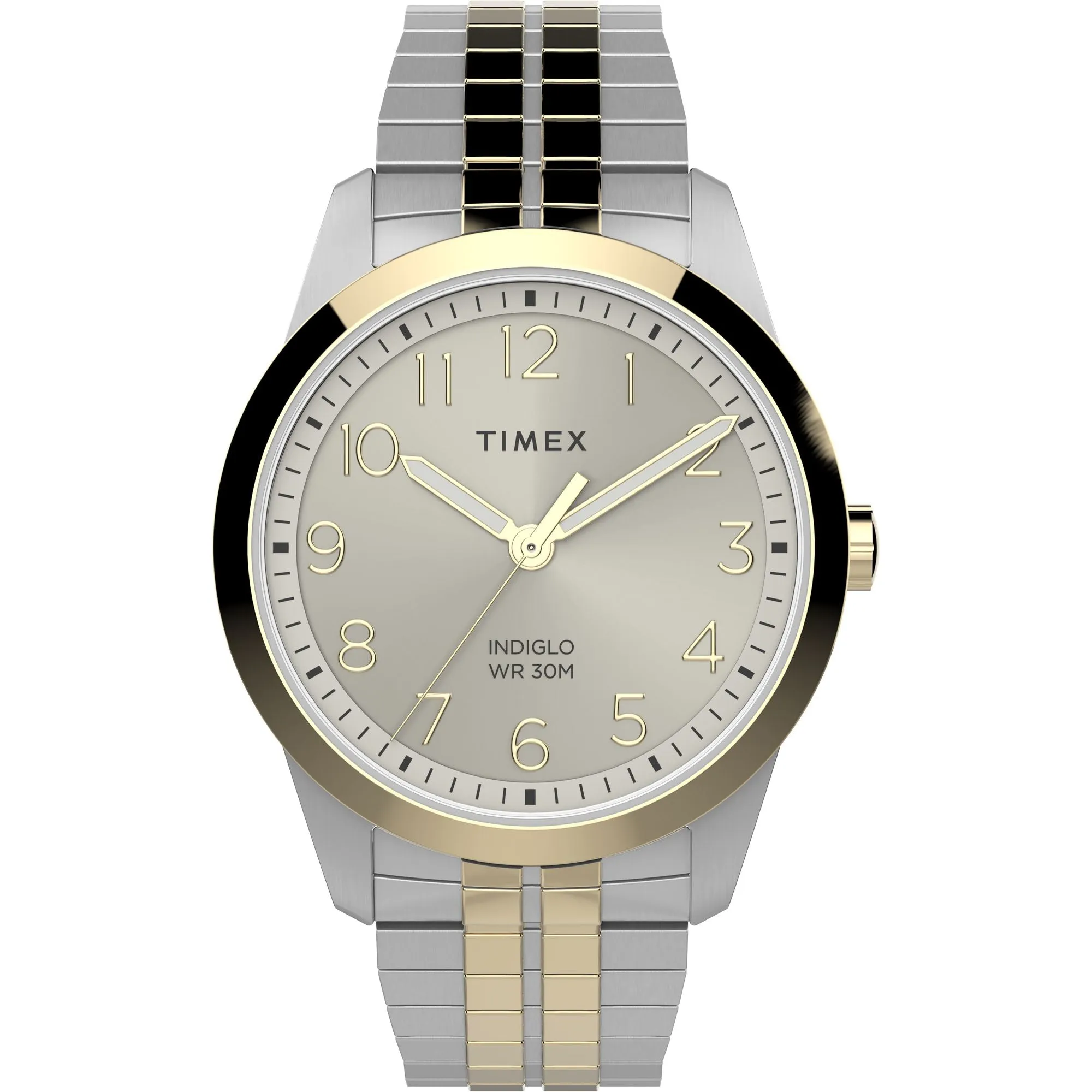Timex Gold-Tone Dial Analog Men Watch - TW2V04600